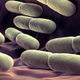Illustration for article titled Your Colon May Be Home to an Entirely New Form of Life
